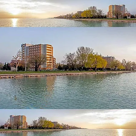 Vizparti Sas