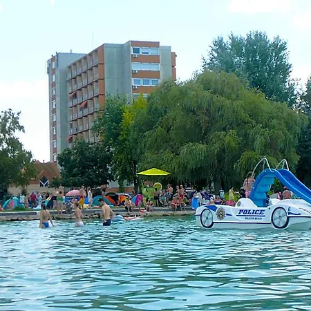 Vizparti Sas